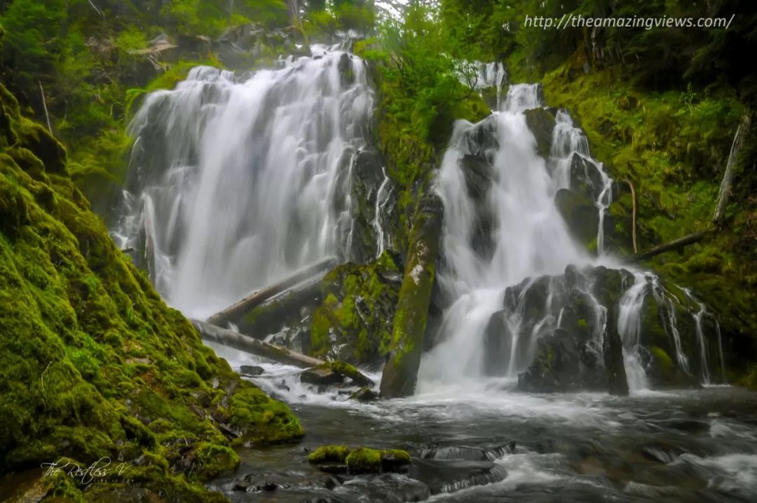 俄勒冈(Oregon)度假计划 --- 中部瀑布之旅
