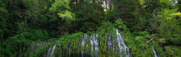 北加州的秘境瀑布 —— Mossbrae Falls